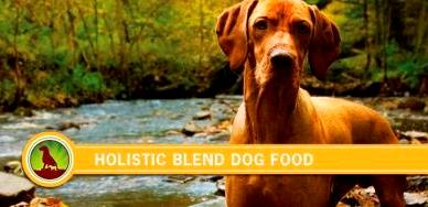 Корм Holistic Blend для собак