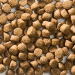 Сухой корм для собак OPTIMAL CONDITION LIGHT GLUTEN FREE 4,0 кг